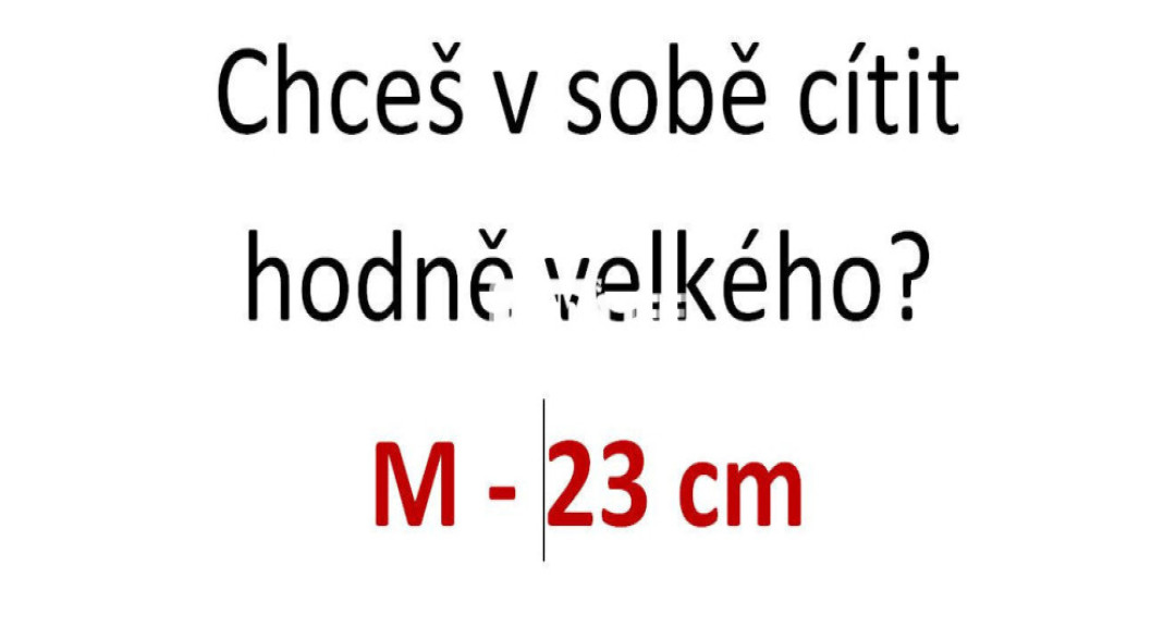 Hled&aacute;m &scaron;t&iacute;hl&eacute; d&iacute;vky a ženy