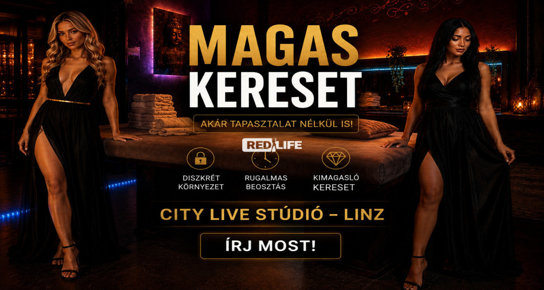 10000€ / hó, Kezdőknek is,