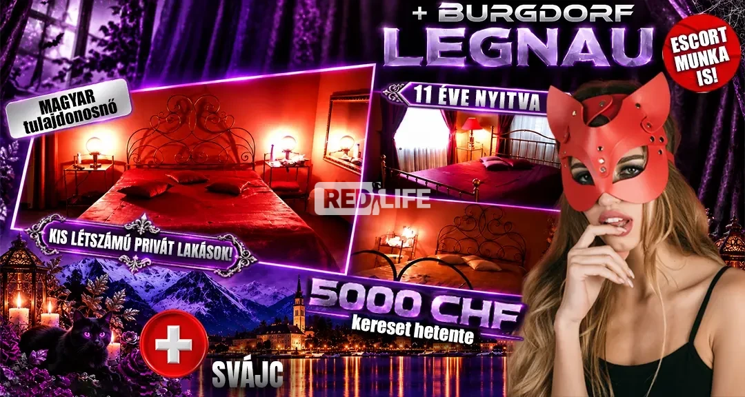 Escort munka is ellenőrzött vendégkörrel!