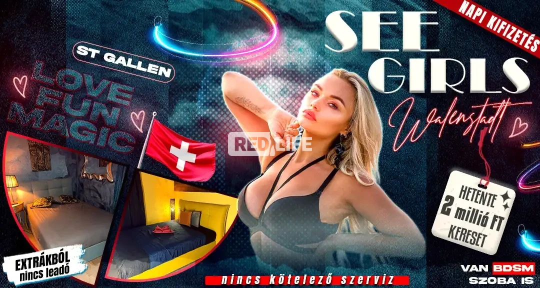 Dolgozz egy bej&aacute;ratott, sv&aacute;jci&ndash;magyar vezet&eacute;sű