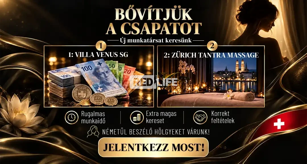50/50 százalékos rendszer