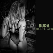 ModelWebBuda
